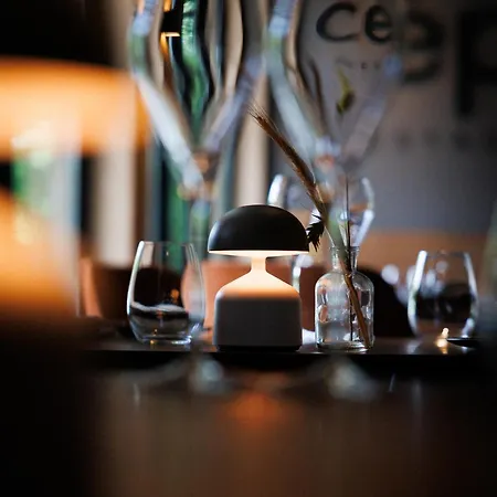 De Sterrenberg - Adults Only 4* Otterlo