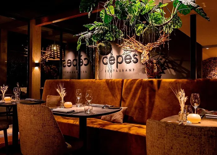 De Sterrenberg - Adults Only ホテル オッテルロ