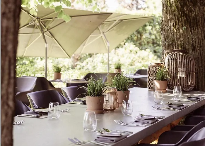 De Sterrenberg - Adults Only オッテルロ