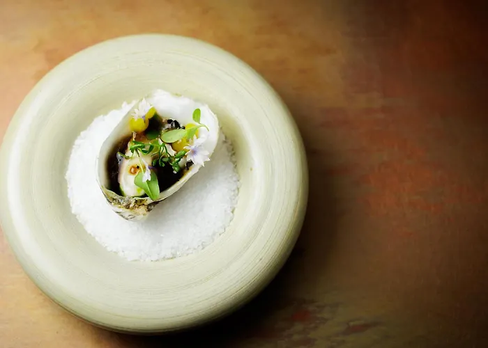 De Sterrenberg - Adults Only 4*